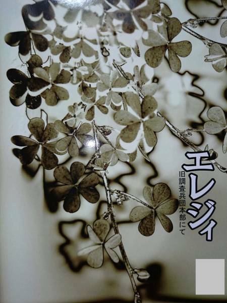 進撃の巨人同人誌★リヴァエレ長編小説★rhx(ハラリョウコ)「エレジィ」