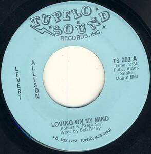 * Southern Deep Soul 45 * Levert Allison *