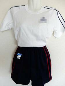 TOMBOW dragonfly * elementary school gym uniform short sleeves 150 size & short pants SS size 