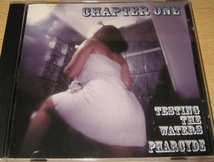 ★The Pharcyde/Chapter One Testing The Waters★ファーサイド★_画像1