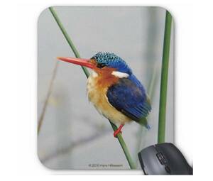  leather semi. mouse pad ( photo pad )