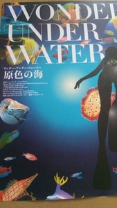  wonder * under * water . color. sea *reni* leaf .nshu tar direction * movie leaflet 