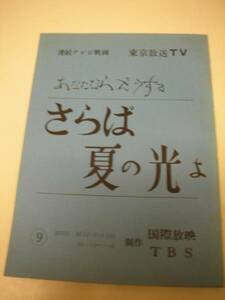 wc069磯野洋子『さらば夏の光よ1976』TV台本9