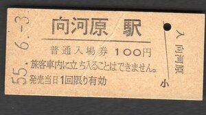 （南武線）向河原駅１００円