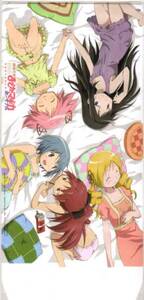 魔法少女まどか☆マギカ ポータブル 特典ブックカバー即決