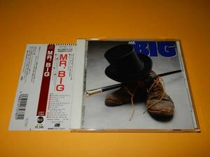  записано в Японии CD MR.BIG*1st альбом / debut альбом * Mr. * большой *22P2-2789*ADDICTED TO THAT RUSH др. * Eric * Martin 