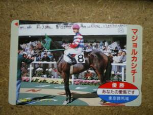 I1764*majo LUKA sichi- horse racing telephone card 