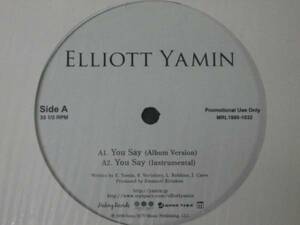 Elliott Yamin - You Say// Don't Be Afraid / 5点送料無料 12''