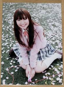 〓 生写真 AKB48 小嶋陽菜[桜の木になろう] HMV特典
