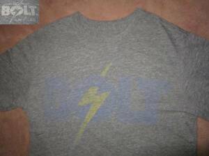 USA製 LightningBolt ライトニングボルト デカロゴ Tシャツ 灰 M サーファー サーフ SURF サーフィン bolt