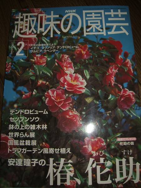2025年最新】Yahoo!オークション -侘助(本、雑誌)の中古品・新品