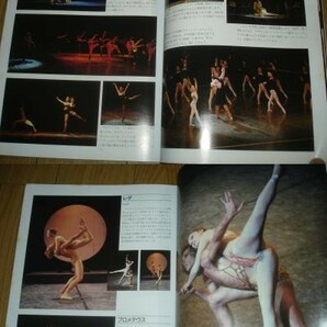 モーリスベジャールと20世紀バレエ団/ジョルジュドン/1985年の画像3