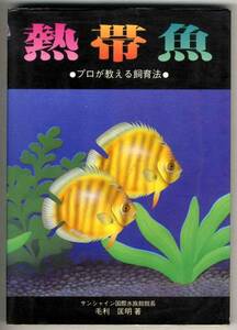 【b8565】熱帯魚 - プロが教える飼育法／毛利匡明
