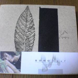 SONO CD「Leaf」トーレ・ヨハンソンプロデュース