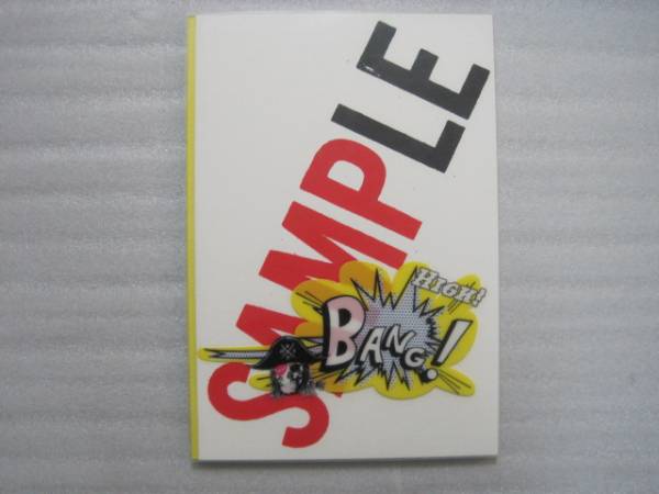 Smap! ライブツアー　パンフレット SMAPコンサートツアーライブパンフレットPopup！SMAP(3Dカメラ