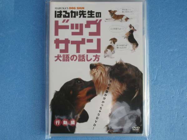 はるか先生の「ドッグサイン」犬語の話し方　行動編