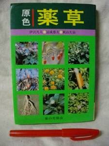 原色　薬草　伊沢凡人　家の光協会　S50　薬湯/くすり