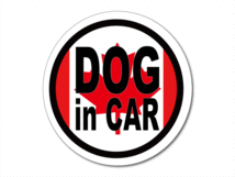 ｒ1●DOG in CARカナダ国旗ステッカー 犬●車に_ SA(1)_画像1