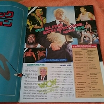 新日東京ドームパンフ『スターケード91WCW』4点送無スタイナーズ_画像2