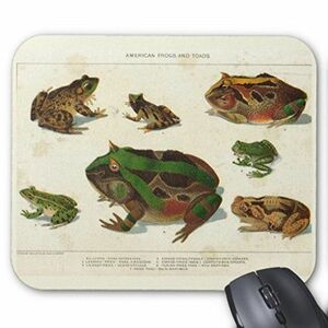  America production. frog. company. mouse pad ( photo pad )