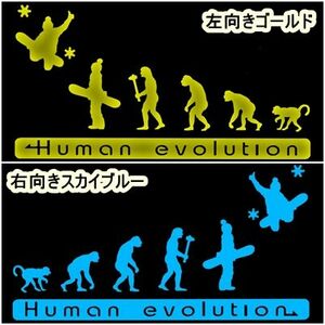 人類の進化 30cm【スノーボード編B】ステッカー DC2