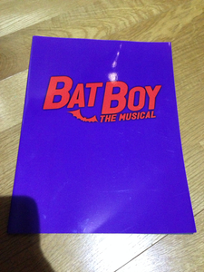 ◆BAT BOY バットボーイ 2006 パンフ◆森山未來◆