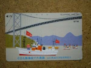 art*.. good flat big catch flag Yamaguchi prefecture .. fishing boat guarantee collection . telephone card 