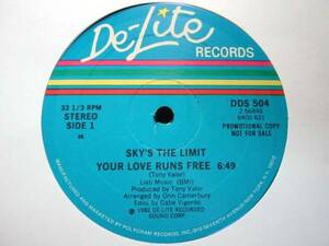 □試聴□Sky's The Limit - Your Love Runs Free/Disco 12□