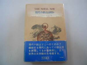 ●現代小説とは何か●Aバージェス前川祐一●竹内書店●即決