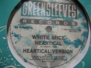 ◆White Mice/Heartical◆人気ダンスホール！