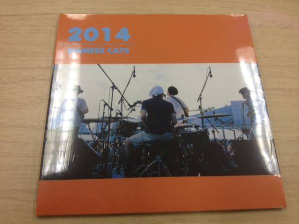 2025年最新】Yahoo!オークション -シャムキャッツの中古品・新品