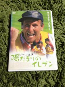 陽だまりのイレブン　ジーコ　 DVD レンタル落ち