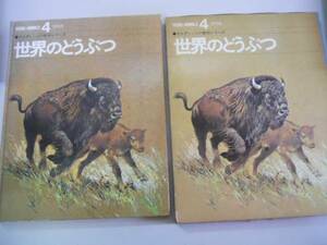 ●世界のどうぶつ●4アメリカ●絵本ナルディーニの動物シリーズ