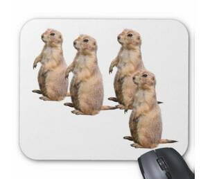  Prairie dok. mouse pad ( photo pad )