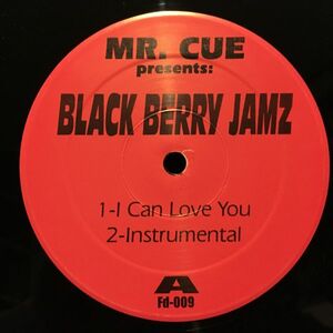 Mr. Cue Presents Black Berry Jamz / I Can Love You