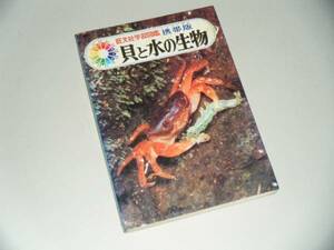 貝と水の生物　旺文社学習図鑑携帯版