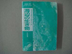 海辺の生き物　ヤマケイポケットガイ 　16　 小林安雅山と溪谷社　　タ金11