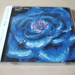 白鳥マイカCD「花園」廃盤●
