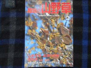 趣味の山野草 　1992年2月号 　№139 　　タカ25