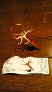  Capsule Q japanese animal Ⅲ large ou squid 