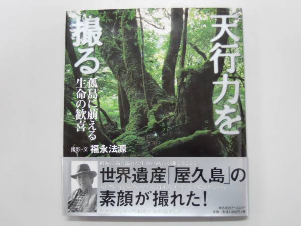 2025年最新】Yahoo!オークション -福永法源の中古品・新品・未