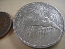 Ｂ9-44、 極楽鳥 ５Ｍ 銀貨　独領ニューギニア　1894年　美品。_画像1