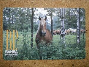 U2565*BANBA.. horse horse racing telephone card 