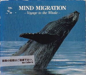 水口博也 CD／マインド・マイグレーション 巨鯨幻想 1992年 廃盤