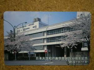 gakk・110-203904 日本大学 松戸歯学部 桜 105度 テレカ