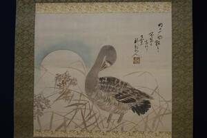 龍影 月に芦雁図 布袋屋掛軸HB-682, 絵画, 日本画, 花鳥、鳥獣