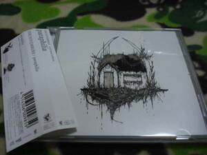 中古 paraphilia パラフィリア THE NOVEMBERS