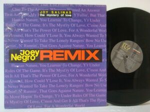 12★JOY SALINAS/The Mystery Of Love (Joey Negro Remixes)