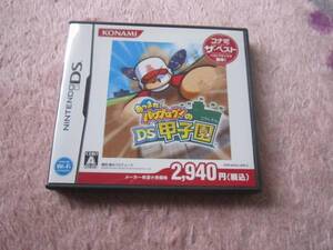 DS 即決 「あつまれ!パワプロクンのDS甲子園」 箱説あり