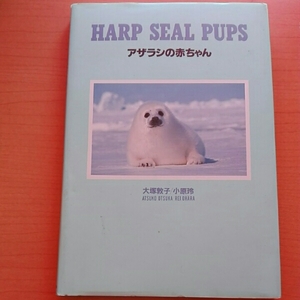 アザラシの赤ちゃん　HARP SEAL PUPS■大塚敦子/小原玲